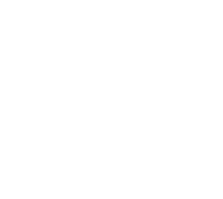 Primo Sewer Cleaning Logo